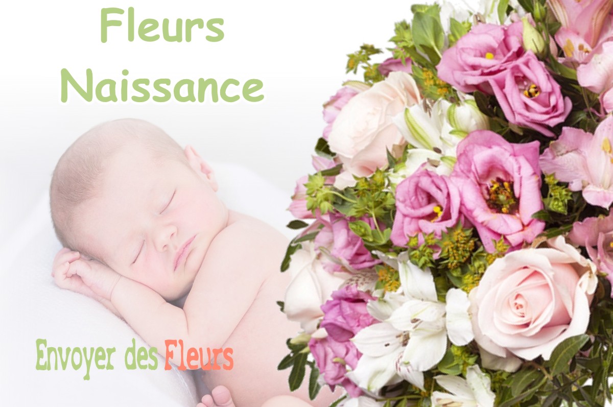 lIVRAISON FLEURS NAISSANCE à FRONTONAS